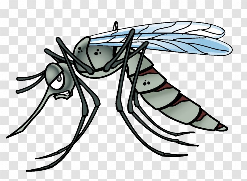 Yellow Fever Mosquito Insect Vector Cartoon - Fly - Large Transparent PNG