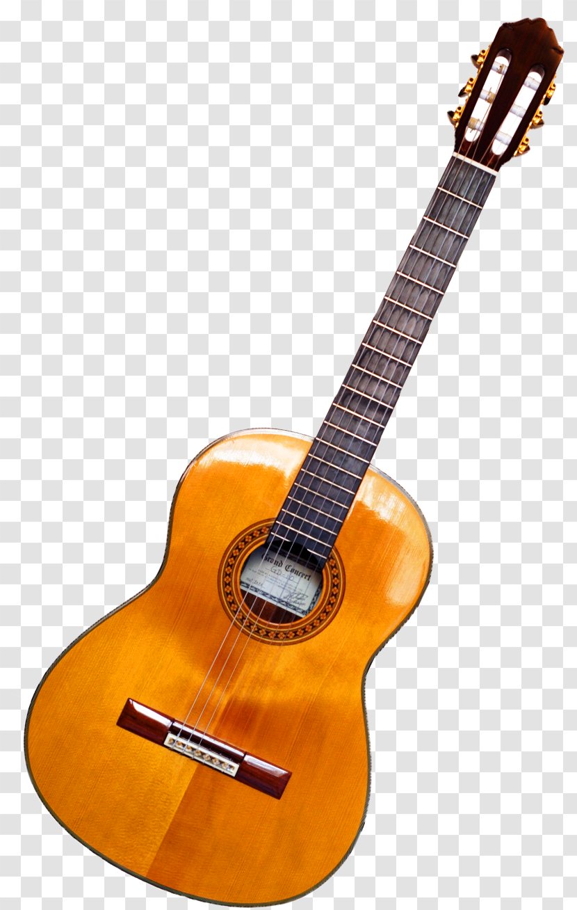 Twelve-string Guitar Ukulele Musical Instrument - Flower - Acoustic Picture Transparent PNG