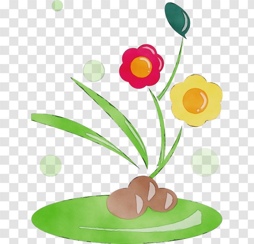 Flower Plant Stem Cut Flowers Tulip Transparent PNG