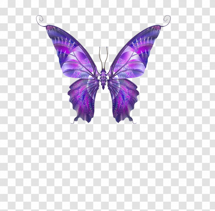 Butterfly Papillon Dog Hemiargus Ceraunus Clip Art - Purple Transparent PNG