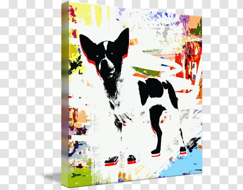 Pit Bull Dog Breed Animal Shelter Rescue Group - Like Mammal - Funcky Transparent PNG