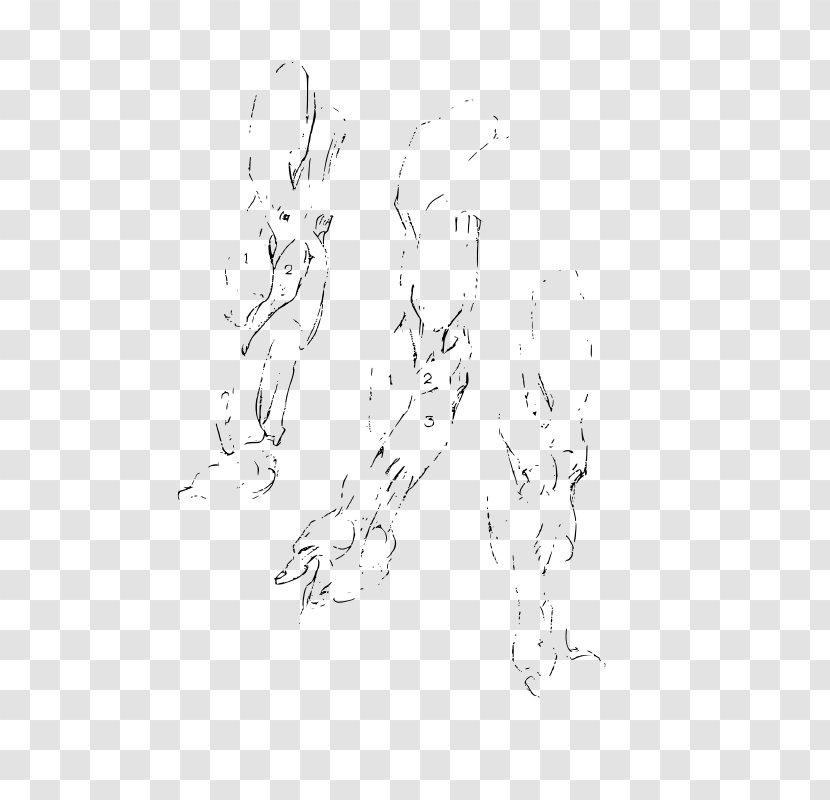 Constructive Anatomy Drawing Mammal Sketch - Tree - Art Transparent PNG