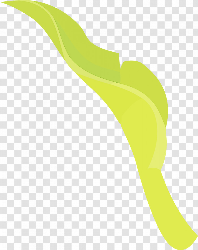 Leaf Plant Stem Yellow Meter Line Transparent PNG