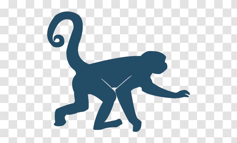 Clip Art Extinction Threatened Species Primate Monkey - Human - Gibbon Transparent PNG