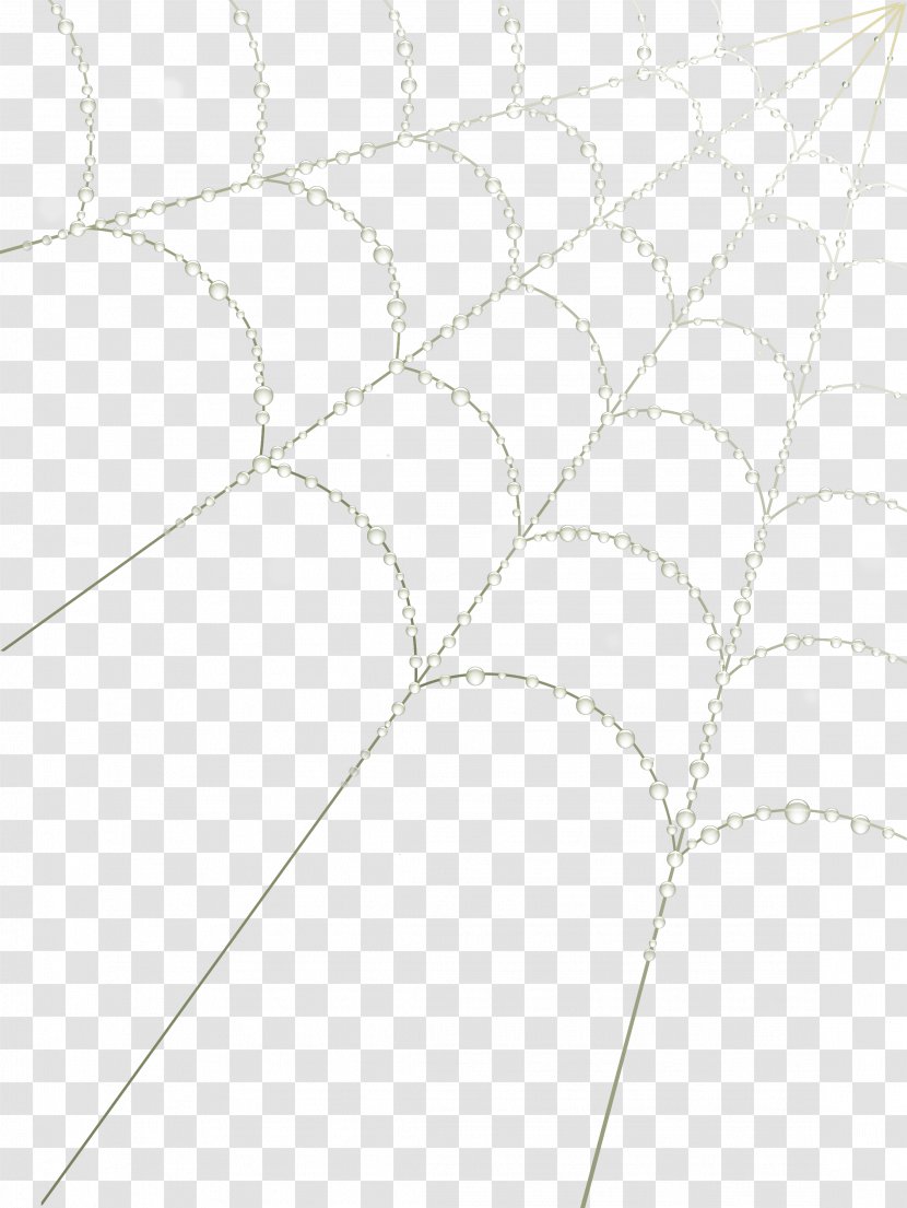 Spider Silk Angle Clip Art Transparent PNG