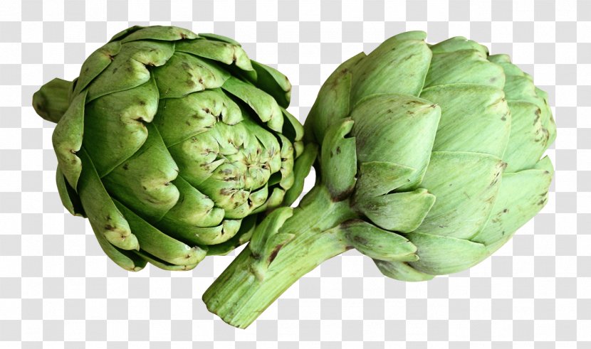 Castroville Artichoke Festival Vegetable Food Transparent PNG