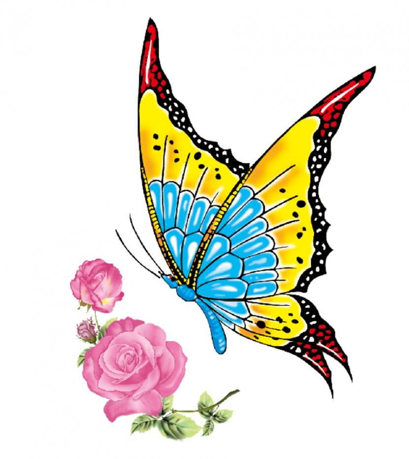Monarch Butterfly Brush-footed Butterflies Insect Clip Art - Organism Transparent PNG