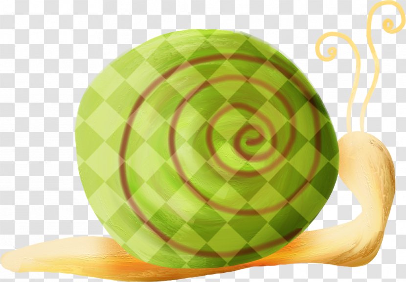 Orthogastropoda Snail Icon - Spiral - Hand-painted Transparent PNG