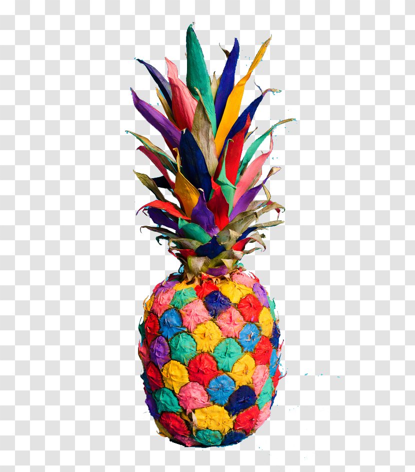 Pineapple Fruit - Plant - Multicolored Transparent PNG