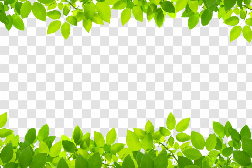 Stock Photography Leaf Green Royalty-free Clip Art - Footage - Leaves Transparent PNG