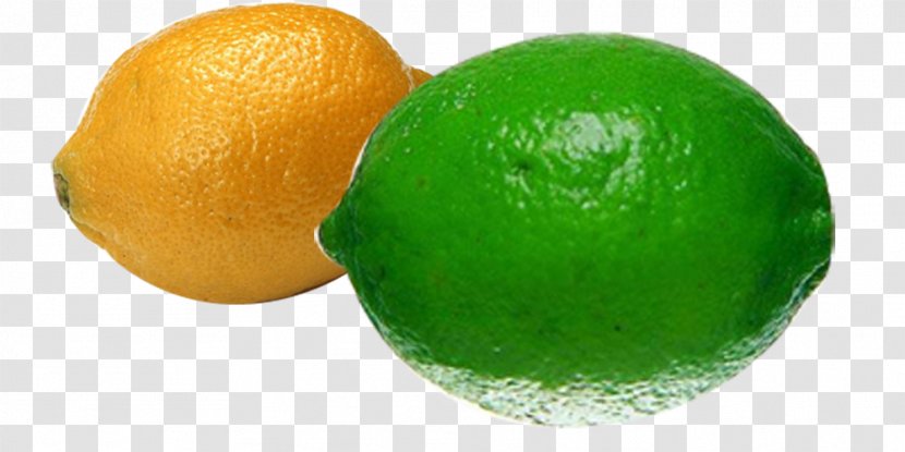 Persian Lime Lemon Key Tangelo - Food - N Transparent PNG