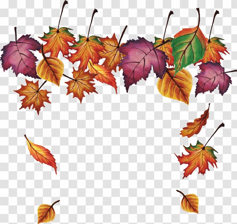 Maple Leaf - Leaves Falling Transparent PNG