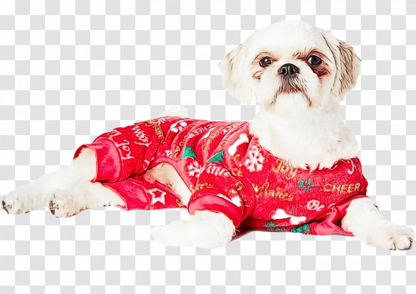 Dog Clothes Shih Tzu Breed Puppy - Lhasa Apso Supply Transparent PNG