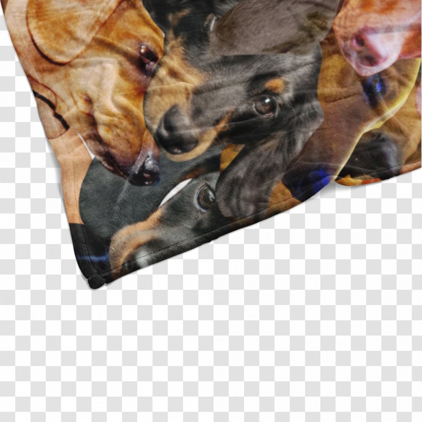 Dog Breed Puppy Snout Transparent PNG