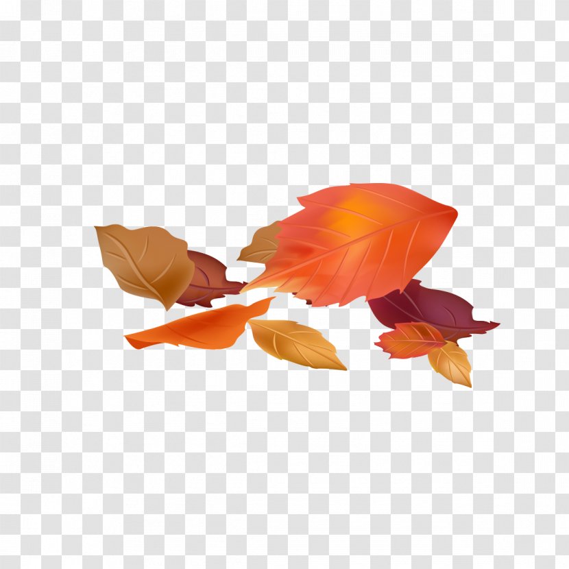 Google Images Download - Flower - Autumn Leaves Transparent PNG
