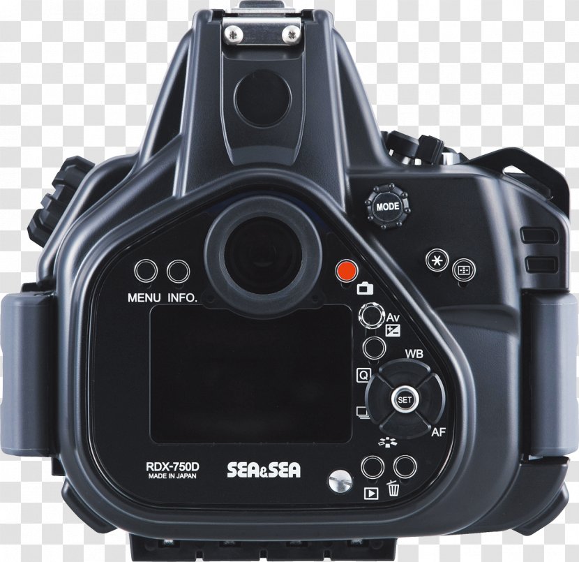 Digital SLR Canon EOS 750D 800D Camera Lens 300D Transparent PNG