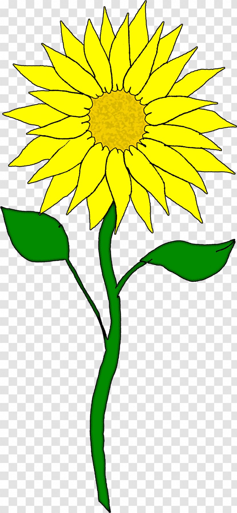 Drawing Of Family - Cartoon - Petal Daisy Transparent PNG