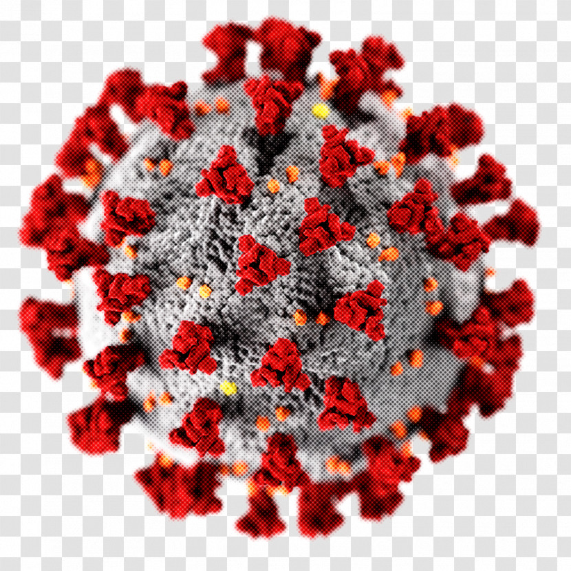 2019–20 Coronavirus Pandemic Covid-19 Testing Coronavirus Coronavirus Disease 2019 West Virginia Transparent PNG