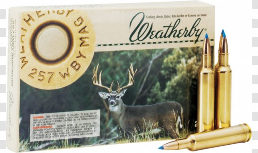 .270 Weatherby Magnum .300 Ammunition Winchester Weatherby, Inc. - Flower Transparent PNG
