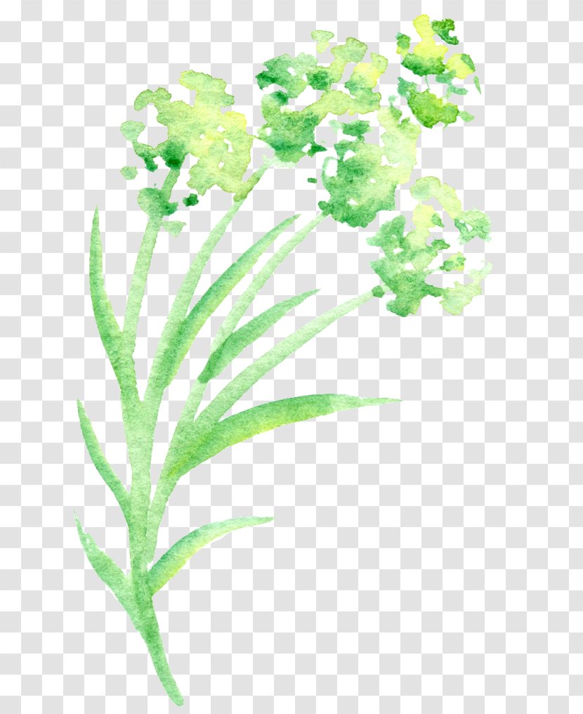 Green Petal Watercolor Painting Flower - Organism - Simple Floral Transparent PNG