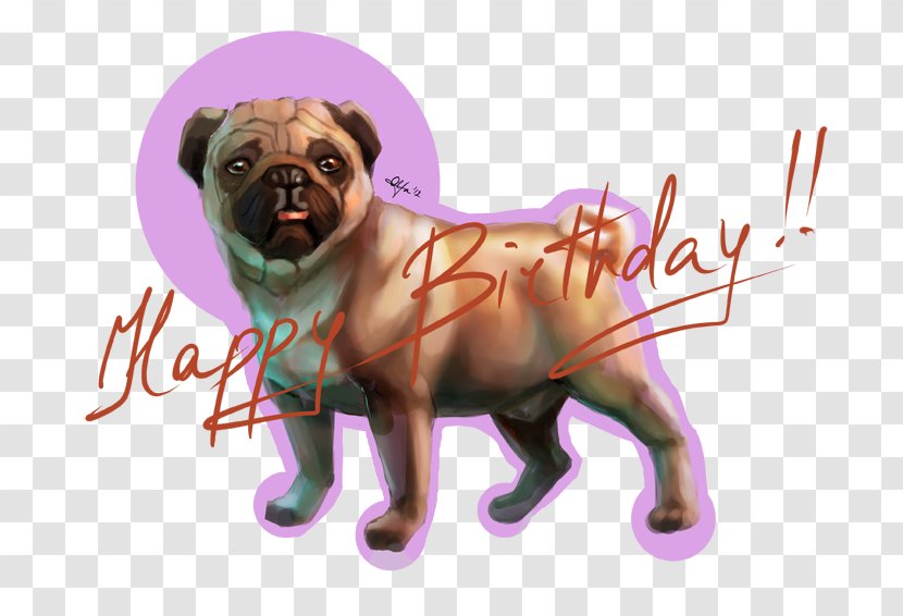 Pug Puppy Love Dog Breed Toy Transparent PNG