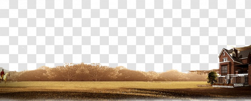 Wood - Yellow Autumn Leaves Background Land Transparent PNG