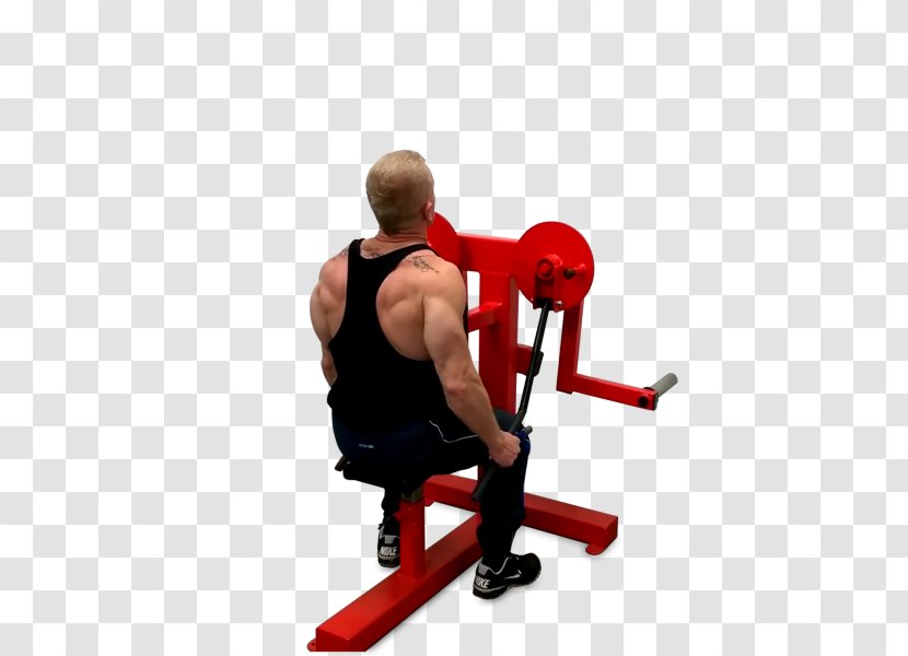 Weight Training Rear Delt Raise Fly Overhead Press Exercise Equipment - Heart Transparent PNG
