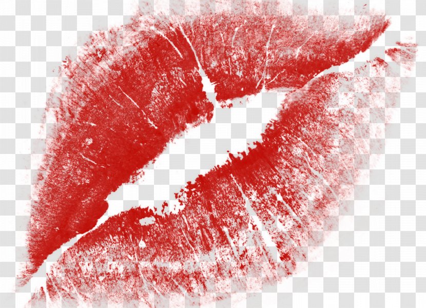 Lip Kiss - Philtrum - Lips Image Transparent PNG