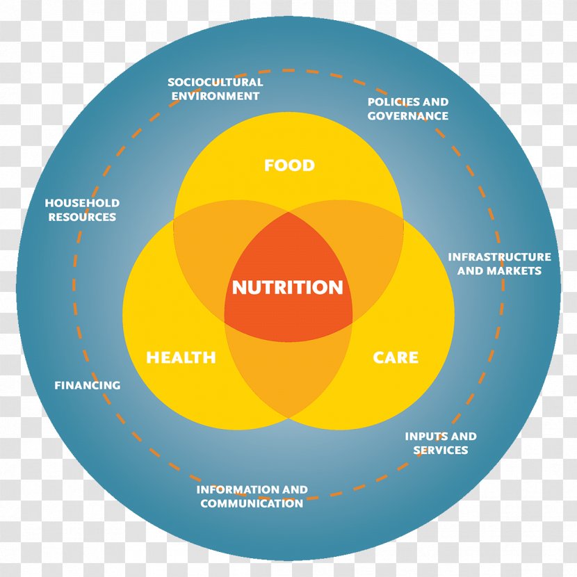 Nutrition Systems Theory Health Diagram - Human Health; Diet; Pyramid Transparent PNG