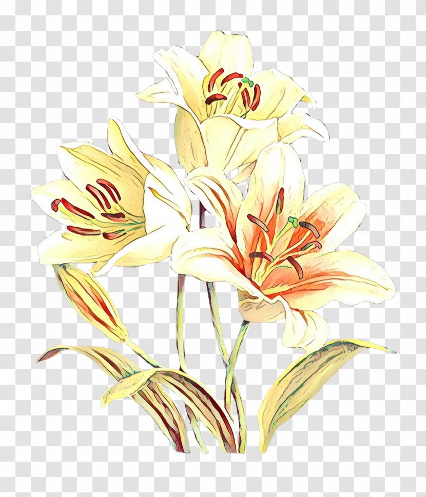 Floral Design Cut Flowers Flower Bouquet Jersey Lily - Plant Stem Transparent PNG