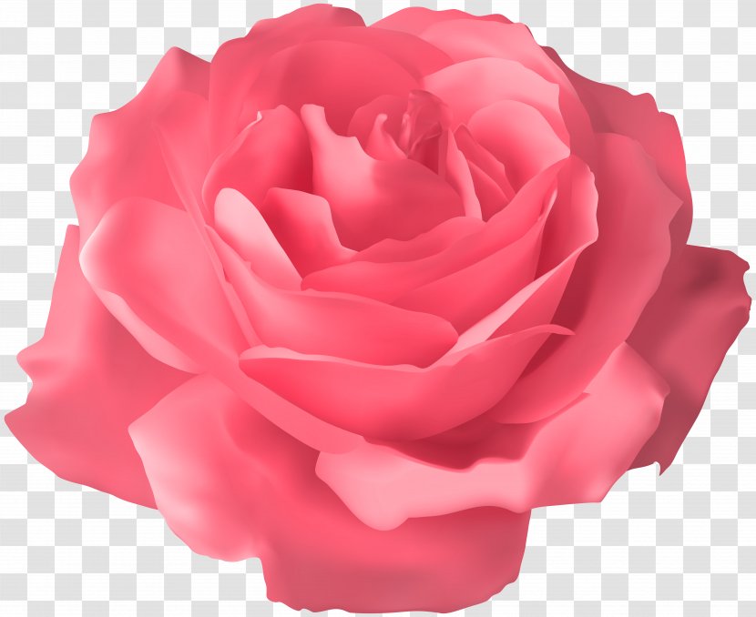 Blue Rose Clip Art - Petal - Soft Pink Transparent Image Transparent PNG