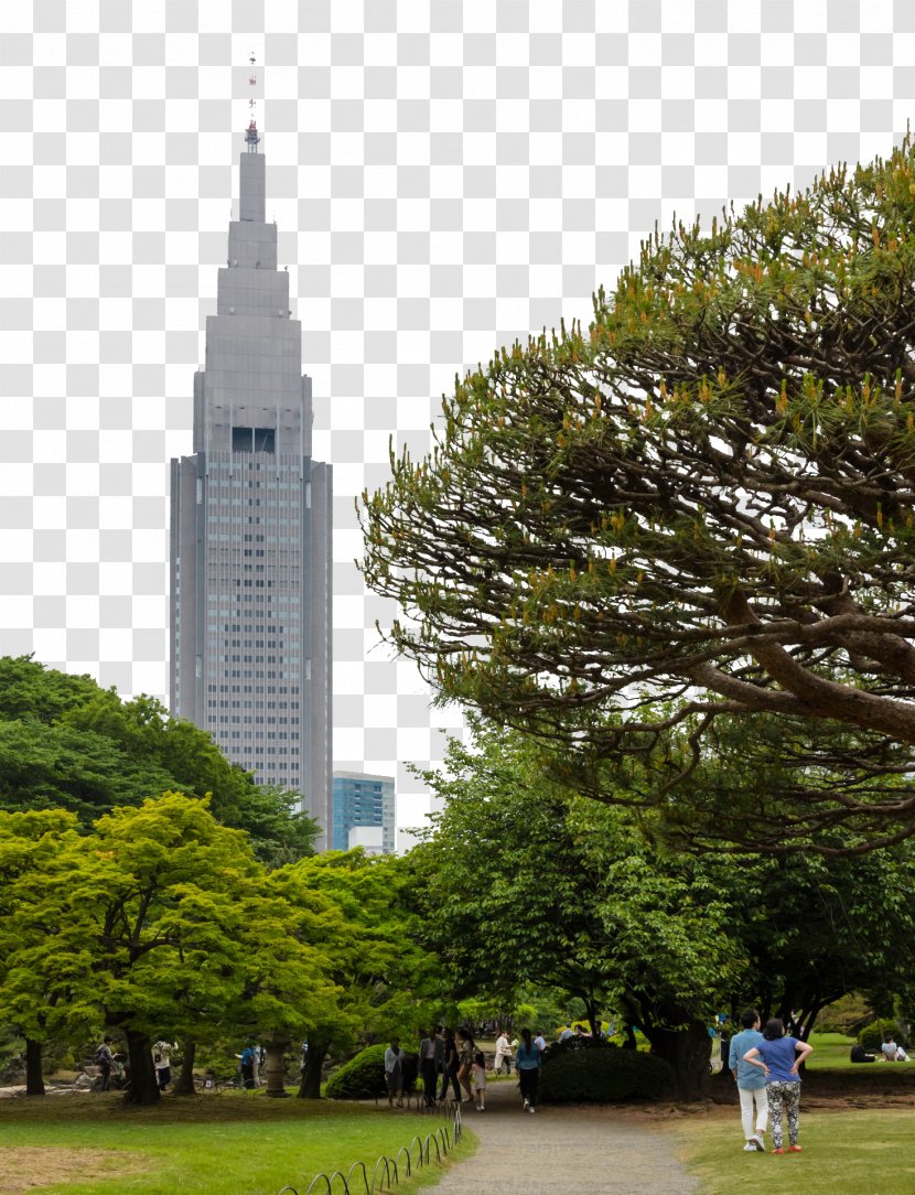 Meiji Shrine Odaiba Tourist Attraction - Sky - Tokyo Jingu Scenery Transparent PNG