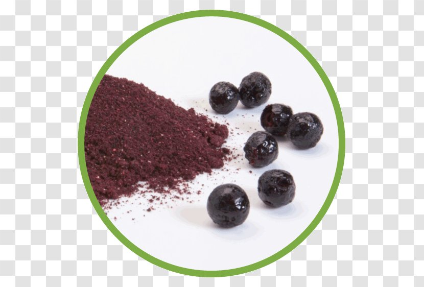 Blueberry Chokeberry Juice Dried Fruit - Anthocyanin - Raspberry Transparent PNG