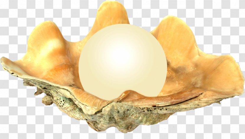 Egg Cartoon - Jewellery - Food White Transparent PNG