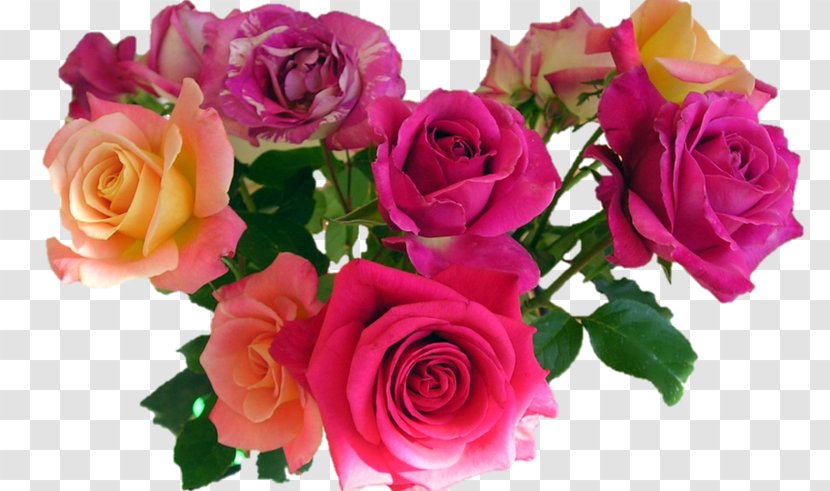Clip Art Rose Transparency Flower - Pink - Herb Bouquet Paint Color Transparent PNG