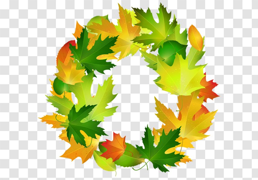Maple Leaf Borders And Frames Picture Autumn - Tree - Leaves Border Transparent PNG