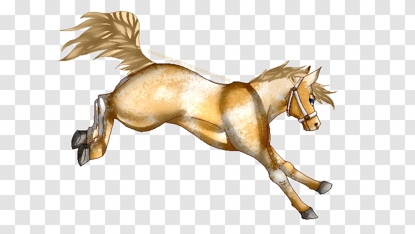 Mane Mustang Pony Foal Stallion - Bucking Horse Transparent PNG