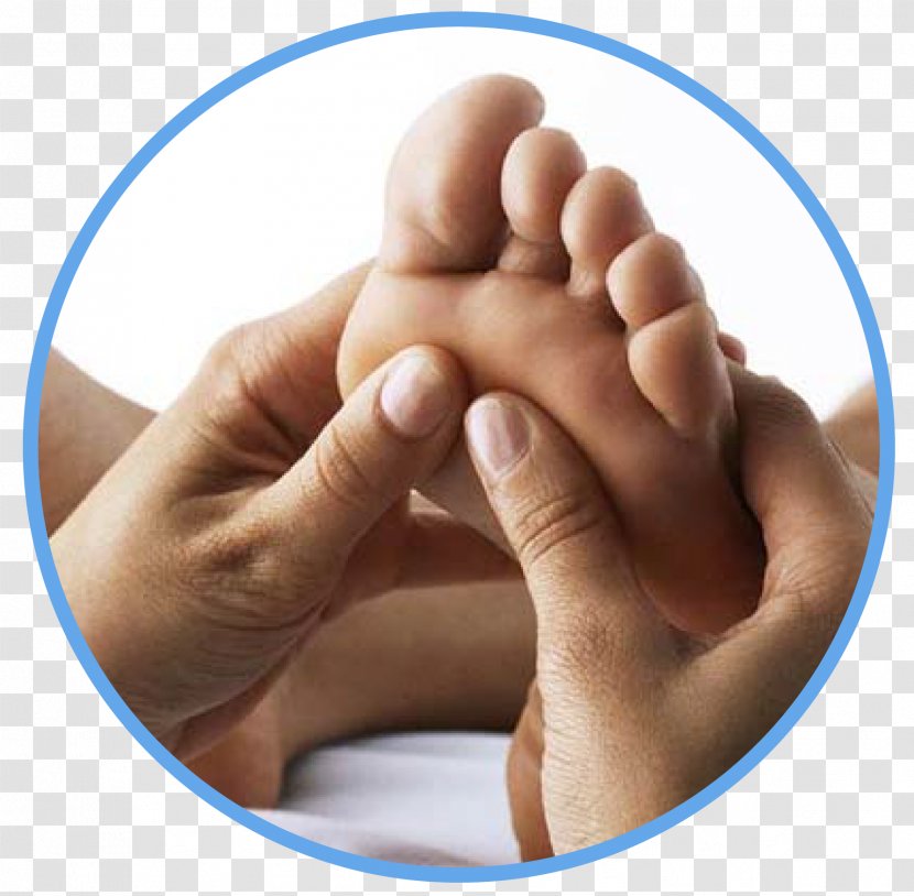 Reflexology Therapy Alternative Health Services Acupuncture Foot - Reflex - Hydrotherapy Transparent PNG