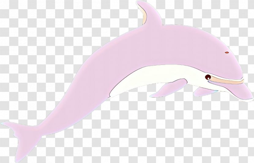 Tucuxi Common Bottlenose Dolphin Product Design Pink M - Dolphins Transparent PNG