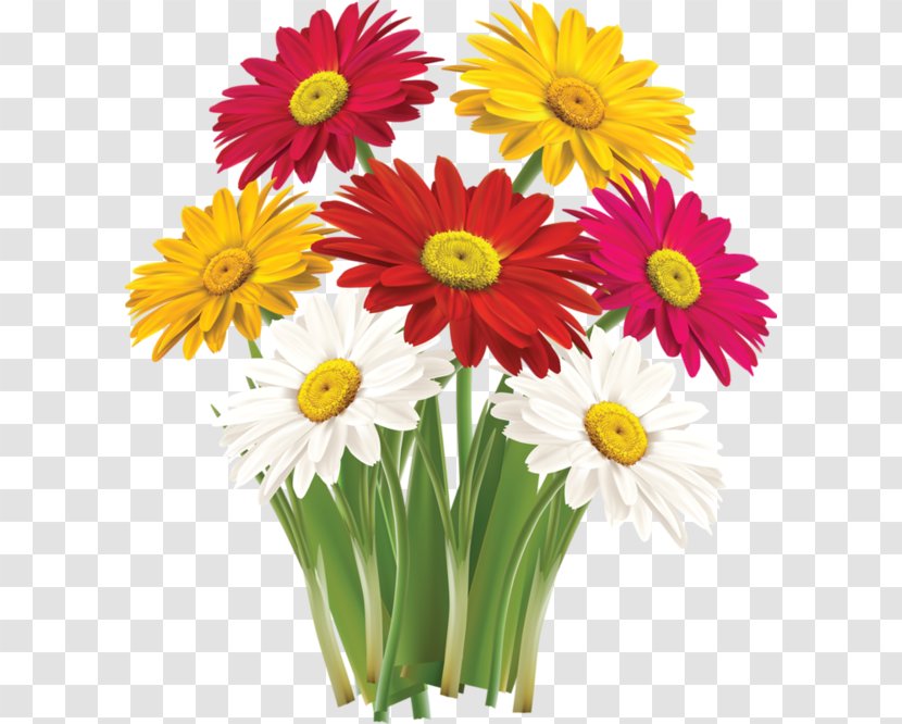 Flower Greeting & Note Cards Clip Art - Daisy - Gerbera Transparent PNG