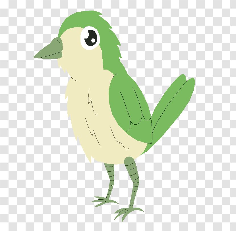 Clip Art Bird Drawing Beak Image Transparent PNG