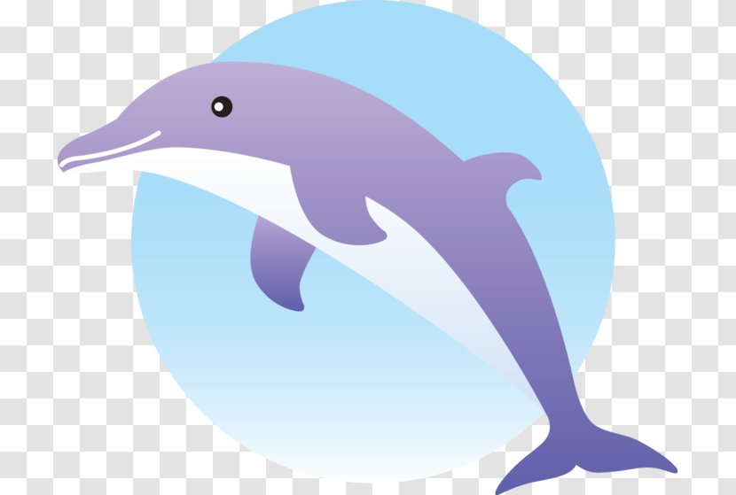 Common Bottlenose Dolphin Short-beaked Clip Art Transparent PNG