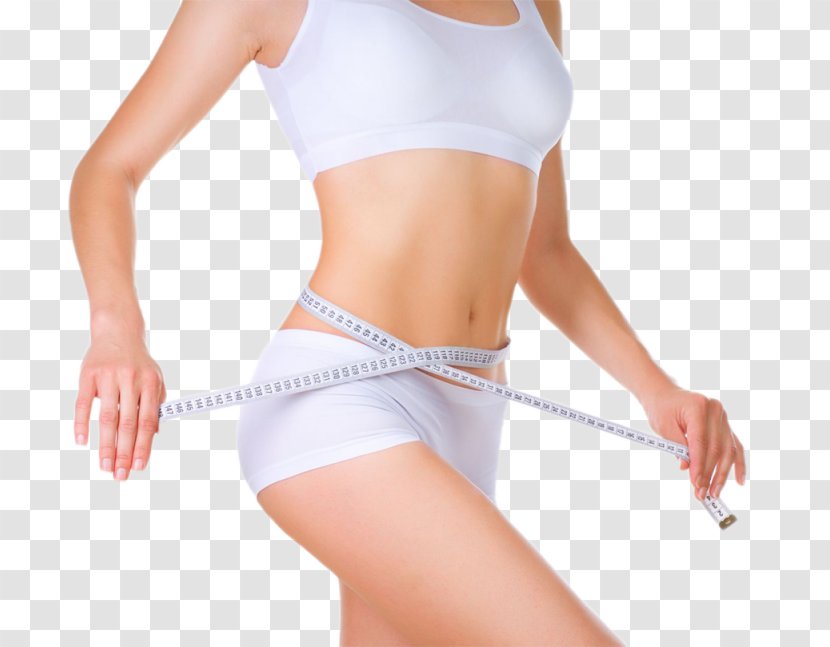 Human Body Health Stock Photography Diet Adipose Tissue - Frame - Reduce Losses Transparent PNG