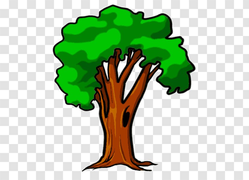 Clip Art Tree Plant Broccoli Symbol Transparent PNG