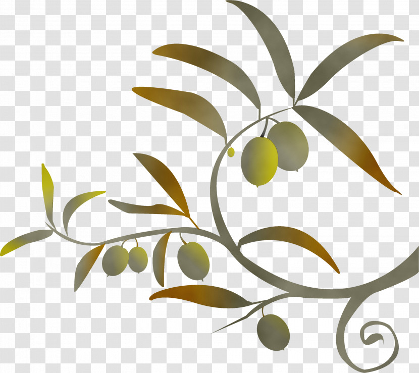 Leaf Plant Tree Olive Branch Transparent PNG
