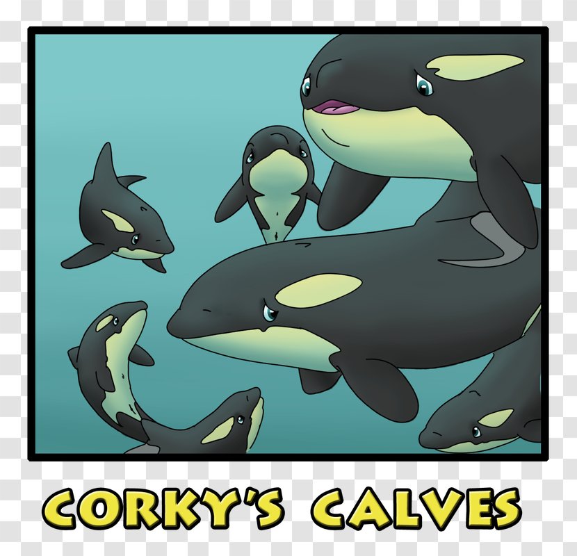 Captive Killer Whales Porpoise Dolphin Corky - Marine Mammal - Captivity Transparent PNG