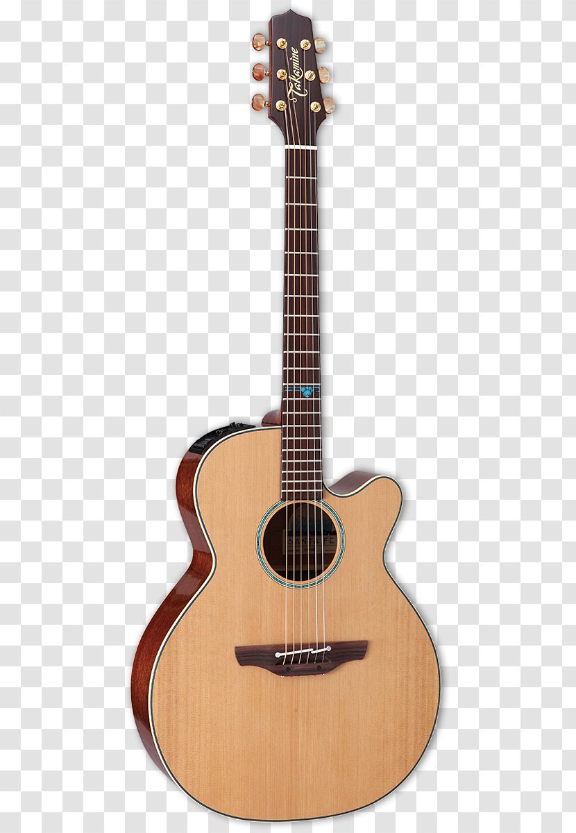 Dreadnought Acoustic Guitar Acoustic-electric Cutaway - Watercolor - Takamine Transparent PNG