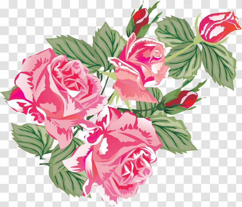Rosa Chinensis Multiflora Moutan Peony Garden Roses - Rose Family Transparent PNG