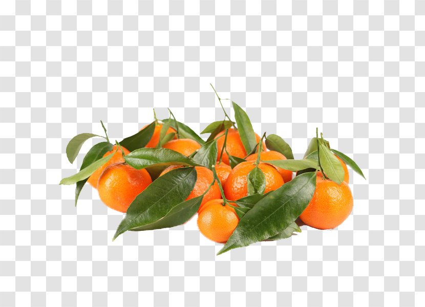 Clementine Tangerine Orange Fruit Food - Habanero Chili - Sand Candy Picture Transparent PNG