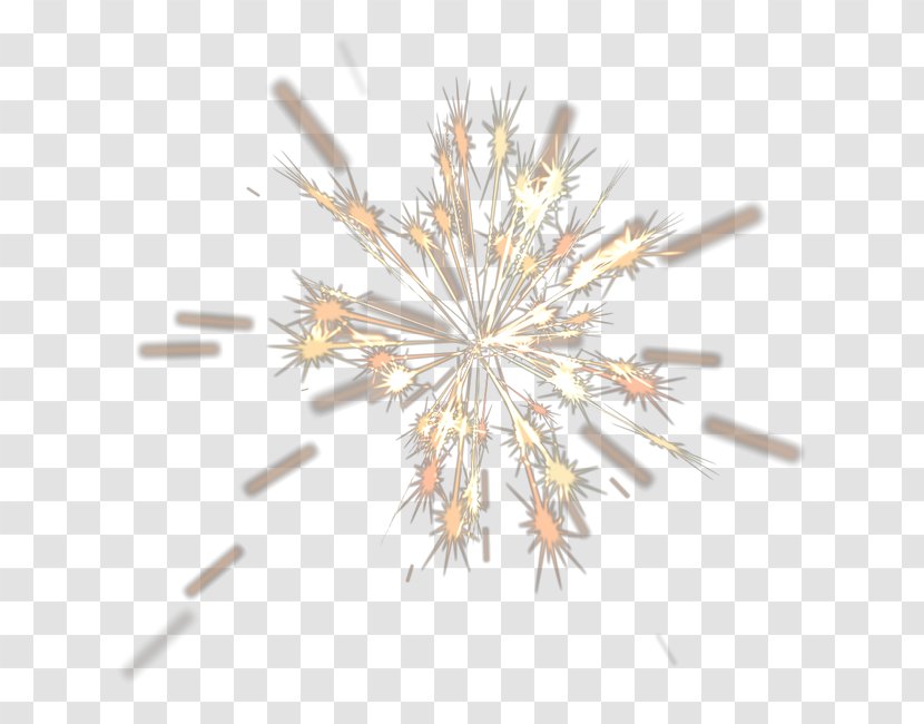 Light Fireworks Poster - Symmetry Transparent PNG